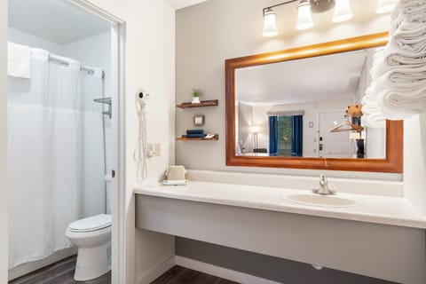 Deluxe Room, Non Smoking | Bathroom | Free toiletries, hair dryer, towels, soap