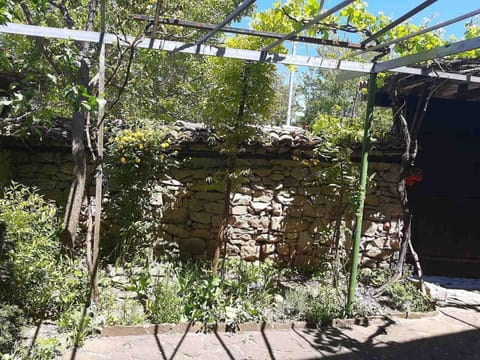 House | Property grounds