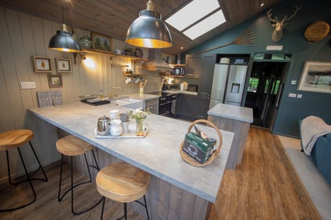 Cottage | Private kitchen | Fridge, dishwasher, electric kettle, toaster