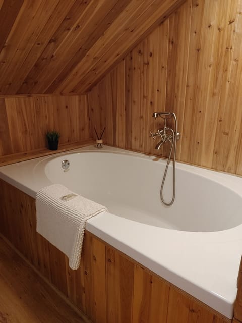 Luxury Suite | Bathroom | Free toiletries, hair dryer, towels, soap