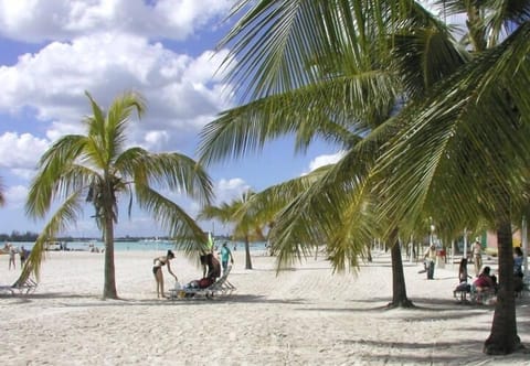 Beach nearby, 10 beach bars