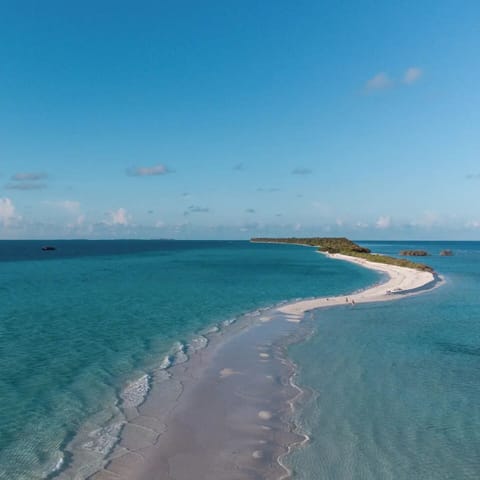 Beach nearby, white sand, beach shuttle, beach umbrellas