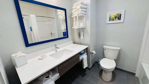 Hair dryer, towels, soap, shampoo