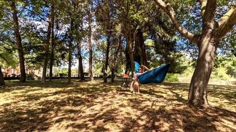 House (Three bedroom Holiday Home with swimm) | Exterior