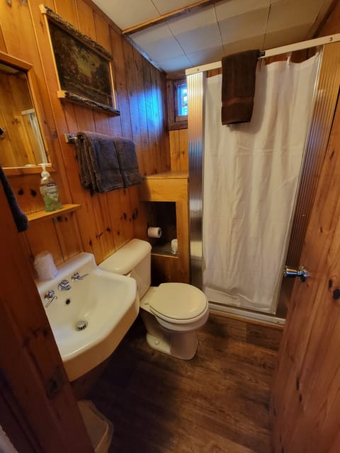 Room | Bathroom | Shower, hair dryer, towels