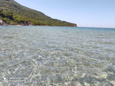 Apartment, 1 Bedroom, Smoking, Terrace | Beach