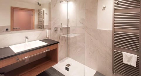 Hair dryer, bidet, towels