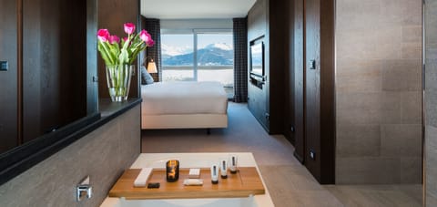 Prestige Suite | View from room