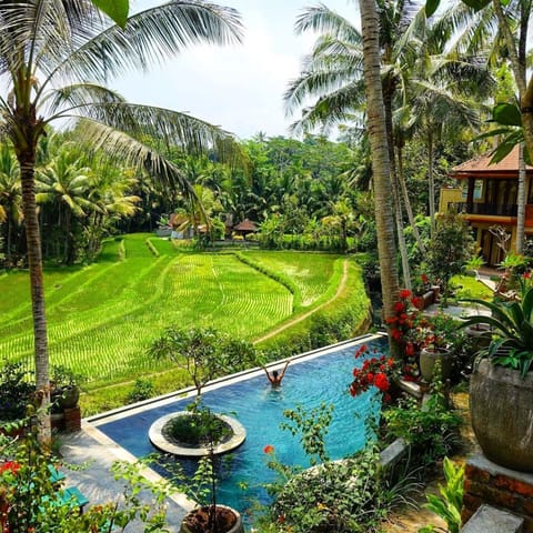 2 outdoor pools, sun loungers