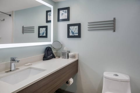 Combined shower/tub, eco-friendly toiletries, hair dryer, towels