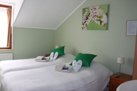 Comfort Twin Room, Shared Bathroom | 2 bedrooms, Egyptian cotton sheets, hypo-allergenic bedding