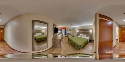 Premium Suite, 1 King Bed, Non Smoking | View from room