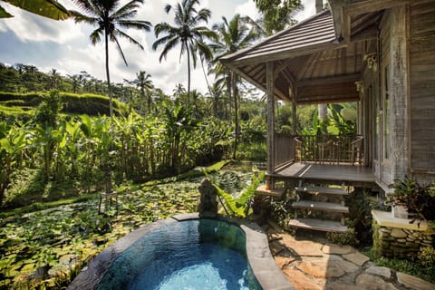 Minibar, in-room safe, individually decorated, individually furnished