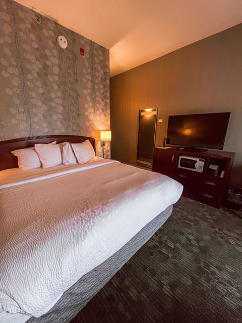 Premium bedding, down comforters, desk, laptop workspace