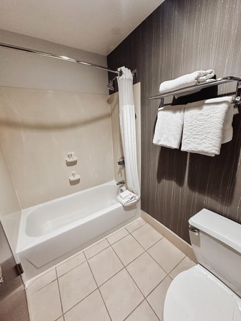 Combined shower/tub, free toiletries, hair dryer, towels