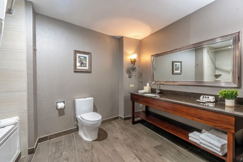 Free toiletries, hair dryer, towels, soap