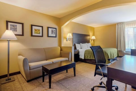 Suite, 1 King Bed with Sofa bed | Desk, blackout drapes, iron/ironing board, cribs (free)