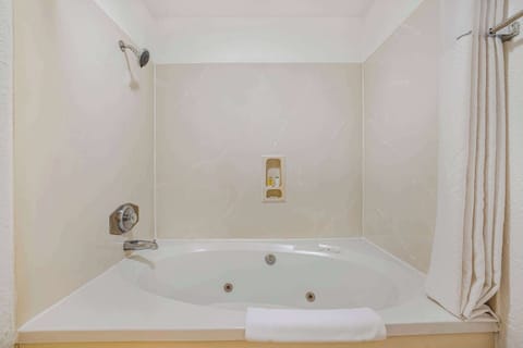 Combined shower/tub, free toiletries, hair dryer, towels