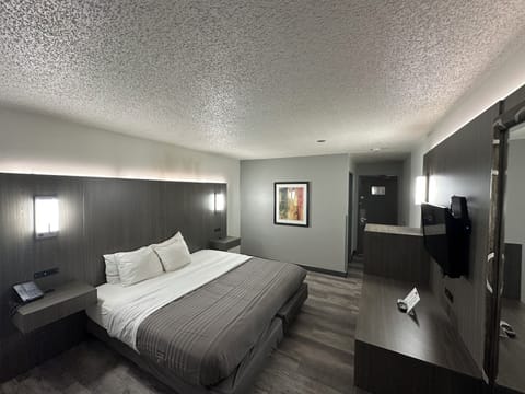 Room, 1 King Bed, Non Smoking, Refrigerator | Premium bedding, desk, iron/ironing board, free WiFi
