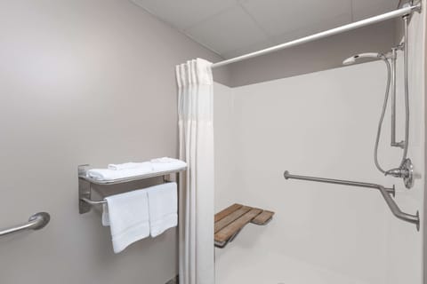 Standard Room, 1 Queen Bed, Accessible, Non Smoking | Bathroom | Combined shower/tub, free toiletries, towels