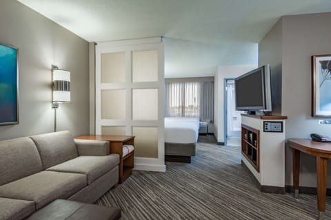 Room, 1 King Bed, Accessible, Bathtub | Hypo-allergenic bedding, down comforters, desk, free WiFi