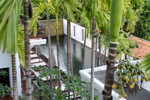 Outdoor pool, open 9:00 AM to 9:00 PM, pool umbrellas, sun loungers