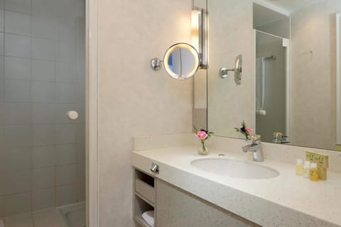 Deluxe Room | Bathroom | Eco-friendly toiletries, hair dryer, towels