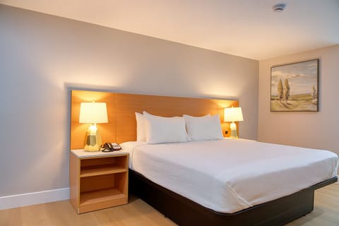 Room, 1 King Bed | Iron/ironing board, free WiFi, bed sheets