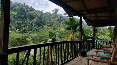 Panoramic Room, Mountain View | Front of property