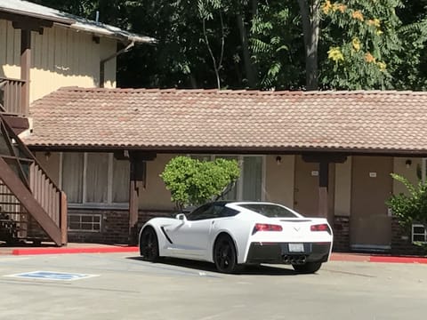 Free self parking