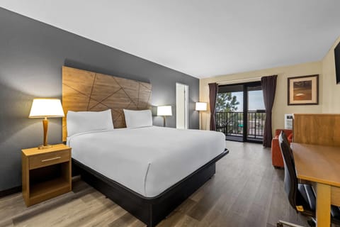 Junior Suite, 1 King Bed, Non Smoking | Soundproofing, iron/ironing board, free WiFi, bed sheets