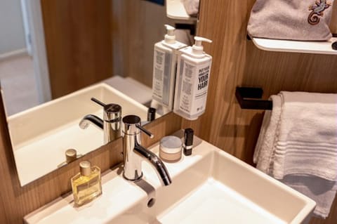 Superior Room, 1 Double Bed | Bathroom | Shower, rainfall showerhead, eco-friendly toiletries, hair dryer