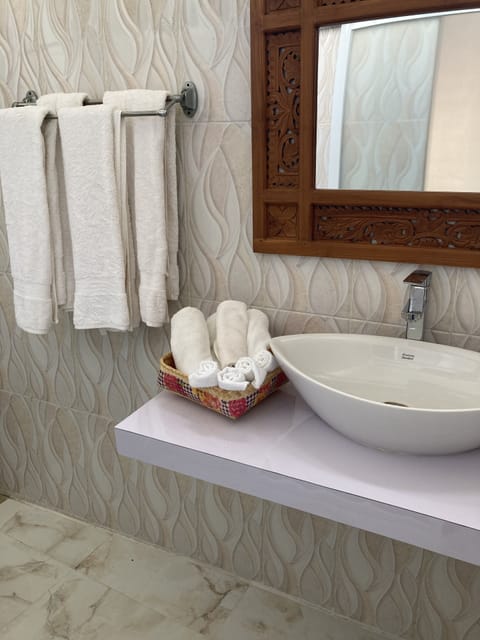 Shower, hair dryer, bidet, towels