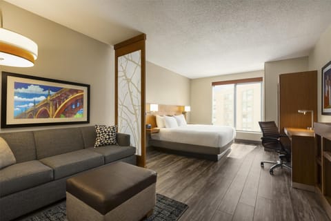 Room, 1 King Bed | Desk, soundproofing, iron/ironing board, free WiFi