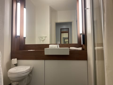 Standard Room, Multiple Beds | Bathroom | Hydromassage showerhead, eco-friendly toiletries, hair dryer, towels