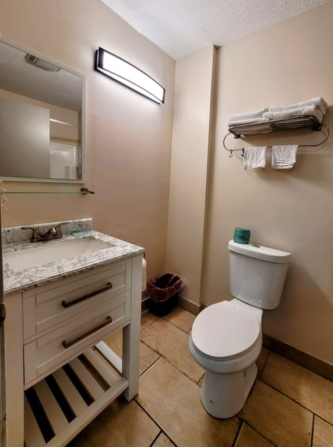 Separate tub and shower, hair dryer, towels