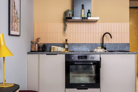 Fridge, oven, stovetop, dishwasher