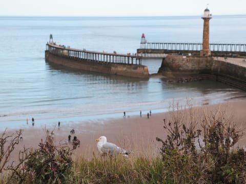 Cottage | Beach