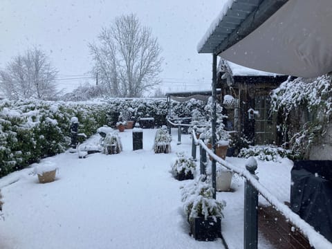 Deluxe Apartment | Terrace/patio