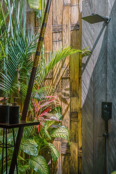 Separate tub and shower, jetted tub, hydromassage showerhead