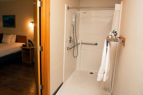 Signature Room, 1 King Bed, Accessible, Non Smoking | Bathroom | Shower, designer toiletries, hair dryer, towels