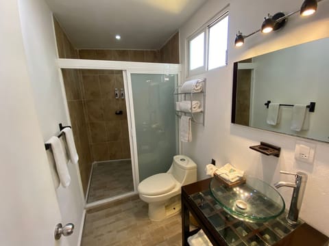 Shower, free toiletries, hair dryer, bathrobes