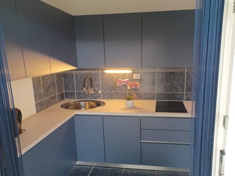 Apartment (One Bedroom Apartment with Terrace (G) | Private kitchen | Fridge