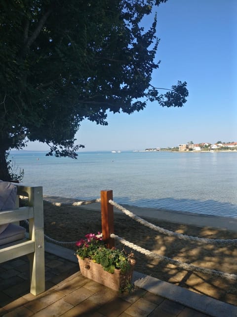 Apartment (One Bedroom Apartment with Terrace (F) | Aerial view