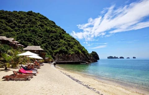 Beach nearby, white sand, beach shuttle, 2 beach bars
