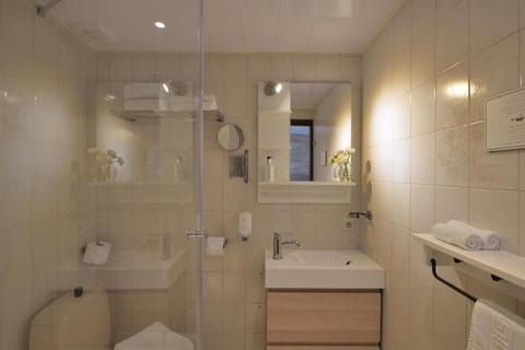 Deluxe Double Room, Garden View | Bathroom | Shower, free toiletries, hair dryer, towels