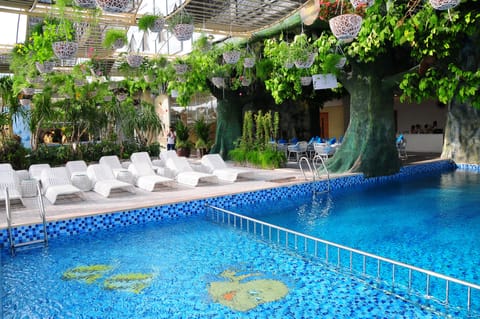 Outdoor pool, sun loungers