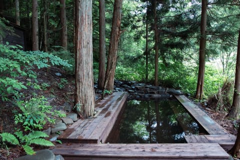 Natural pool