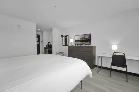 Basic Single Room | Down comforters, desk, laptop workspace, bed sheets