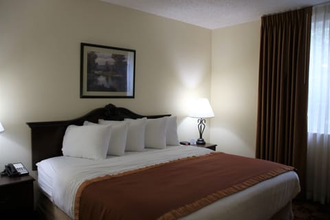 1 bedroom, premium bedding, pillowtop beds, in-room safe